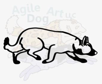 Smooth Border Collie, HD Png Download, Free Download