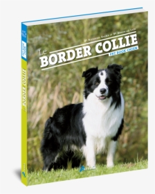 Le Border Collie , Png Download - Border Collie, Transparent Png, Free Download