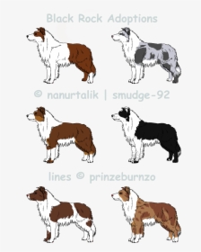 Blue Collie Breed Dog Companion Merle Border Clipart - Mane, HD Png Download, Free Download