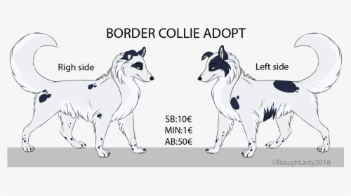 Border Collie Adopt-closed - Michael Jackson Arno Bani, HD Png Download, Free Download