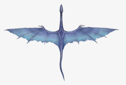 Blue Purple Dragon Png , Png Download - Blue-footed Booby, Transparent Png, Free Download