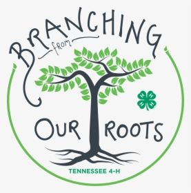 H Youth Development - Branching From Our Roots, HD Png Download, Free Download