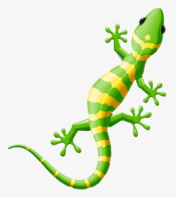 Lizard Clipart Reptile Amphibian - Lizard Clipart, HD Png Download, Free Download