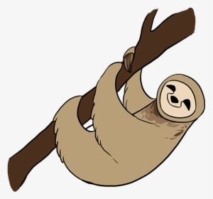 Transparent Sloth Face Png - Sloth Drawing, Png Download, Free Download