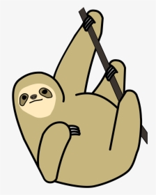 Sloth Vector Color - Cartoon Easy To Draw Sloth, HD Png Download, Free Download