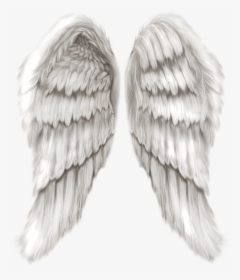 Transparent Background Angel Wings Png, Png Download, Free Download