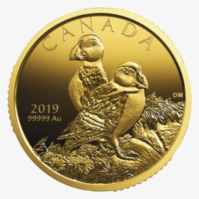 Ican311945 1 - Gold Coin 1 Oz Canada, HD Png Download, Free Download
