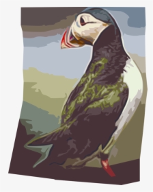 Vector Illustration Of Icelandic Pelagic Seabird Puffin - Atlantic Puffin, HD Png Download, Free Download