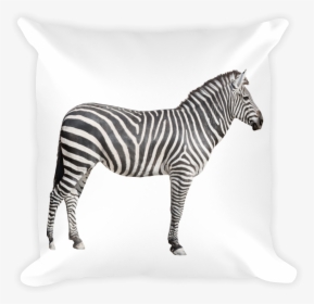 "  Class="lazyload Lazyload Mirage Cloudzoom Featured - Zebra Side View, HD Png Download, Free Download