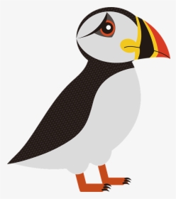 Puffin, Bird, Sea, Birds, Animal, Iceland, Waterfowl - Lunde Fugl Png, Transparent Png, Free Download