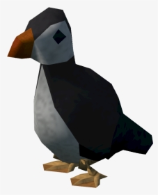 Puffin Png, Transparent Png, Free Download