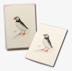 Puffin, HD Png Download, Free Download