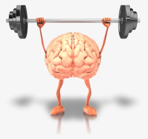 Healthy Brain, HD Png Download, Free Download