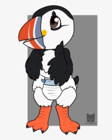 Puffin - Puffin Chibi, HD Png Download, Free Download