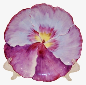Outstanding Antique Bavarian Hand Painted Porcelain - Pansy, HD Png Download, Free Download