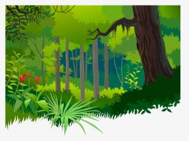 Waterfall Clipart Tropical Rainforest - Forest Clipart, HD Png Download, Free Download