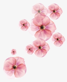 Transparent Geranium Clipart - Animated Flowers Transparent Background, HD Png Download, Free Download