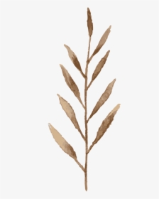14 - Twig, HD Png Download, Free Download