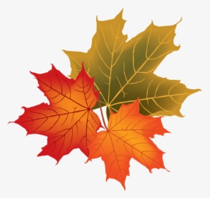 Fall Leaves Vector Png , Transparent Cartoons - Fall Leaves Vector Png, Png Download, Free Download