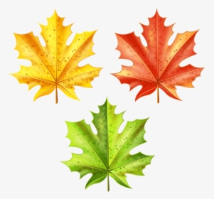 Download Set Of Autumn Leaves Clipart Png Photo - Clip Art, Transparent Png, Free Download