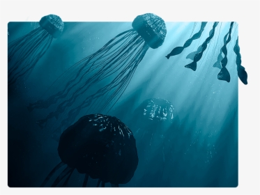 Underwater, Hd Png Download - Underwater, Transparent Png, Free Download