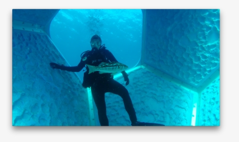 Doug Aitken Underwater Pavilions, HD Png Download, Free Download