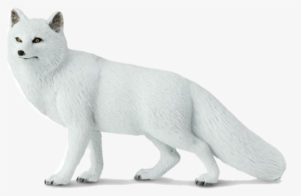 Arctic Fox Png Image File - Domestic Short-haired Cat, Transparent Png, Free Download