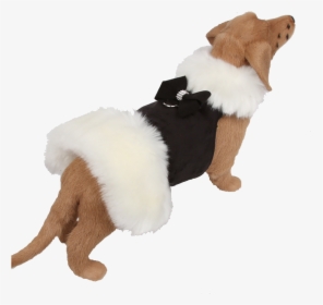 Fur Coat For Dogs White, HD Png Download, Free Download