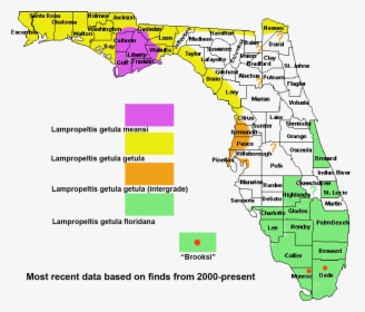 Map Of Florida Counties, HD Png Download, Free Download