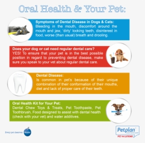 Pet Oral Health, HD Png Download, Free Download