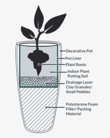 The Complete Guide To - Indoor Plant Drainage, HD Png Download, Free Download