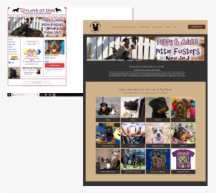 Transparent Rottweiler Png - Online Advertising, Png Download, Free Download