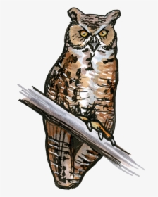 Great Horned Owl Transparent, HD Png Download, Free Download