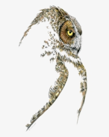 Great Horned Owl Profile-limited Edition Print - Bird Of Prey, HD Png Download, Free Download