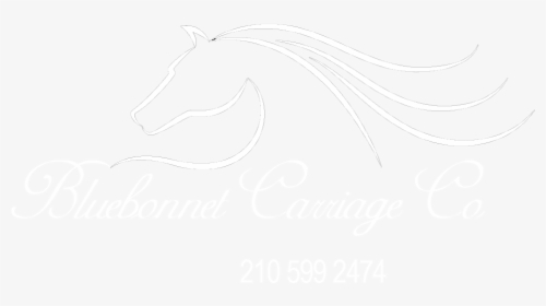 Bluebonnet Carriage Company Logo - Stallion, HD Png Download, Free Download