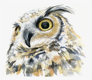 Great Horned Owl Art, HD Png Download, Free Download