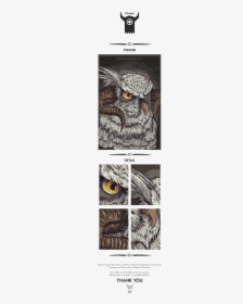 Great Horned Owl Png, Transparent Png, Free Download