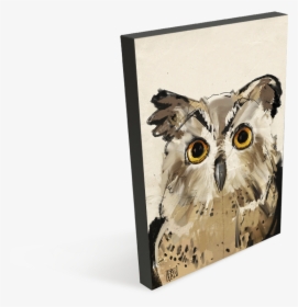 Owl, HD Png Download, Free Download