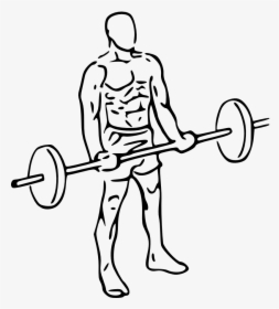 "  Class="gallery-image - Bicep Curls Png, Transparent Png, Free Download