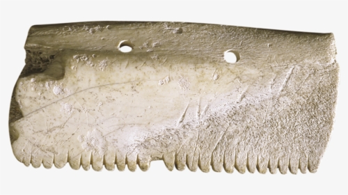 Carving, HD Png Download, Free Download