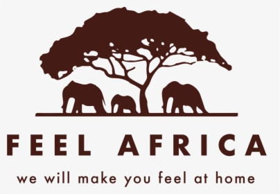 Transparent Africa Tree Png - Elephant Sun Set, Png Download, Free Download