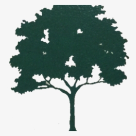 African Tree Clip Art , Png Download - African Tree Clip Art, Transparent Png, Free Download