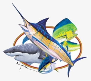 Marlin, Mahi Mahi, Shark, And Tuna Printed T-shirt"  - Marlin Shark And Mahi Mahi, HD Png Download, Free Download