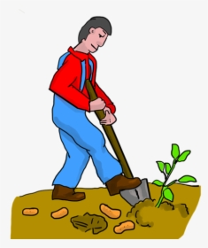 Sweet Potato Digging Dig Pota - Dig Png, Transparent Png, Free Download