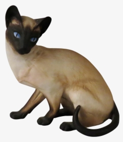 Siamese Cat Transparent, HD Png Download, Free Download