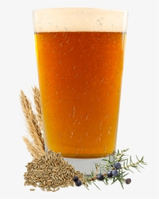Nordic Lager Glass - Ale, HD Png Download, Free Download
