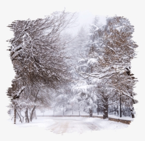Transparent Snow - Snow, HD Png Download, Free Download