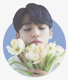 ☆ Rose Quartz And Serenity Mingyu Icons 2 ☆ like/reblog - Mingyu Flowers, HD Png Download, Free Download