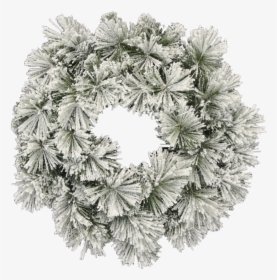 24 - Wreath, HD Png Download, Free Download