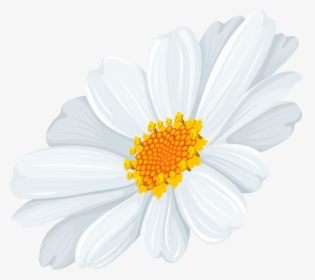 Common Daisy Oxeye Daisy Clip Art, HD Png Download, Free Download